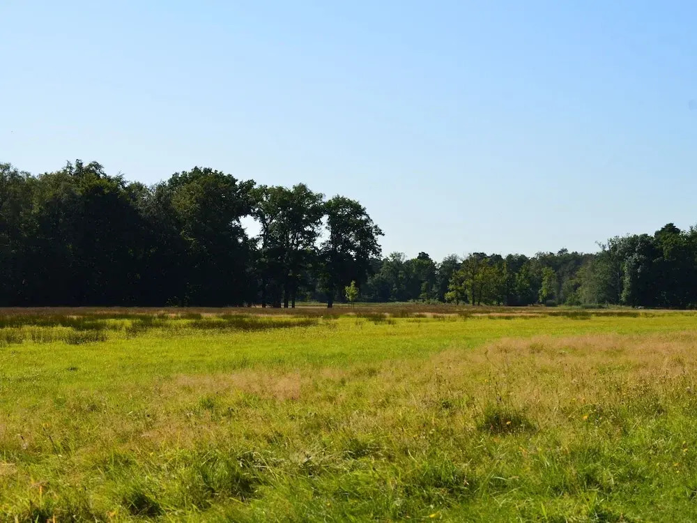 Holiday Home Voorthuizen Near De Veluwe