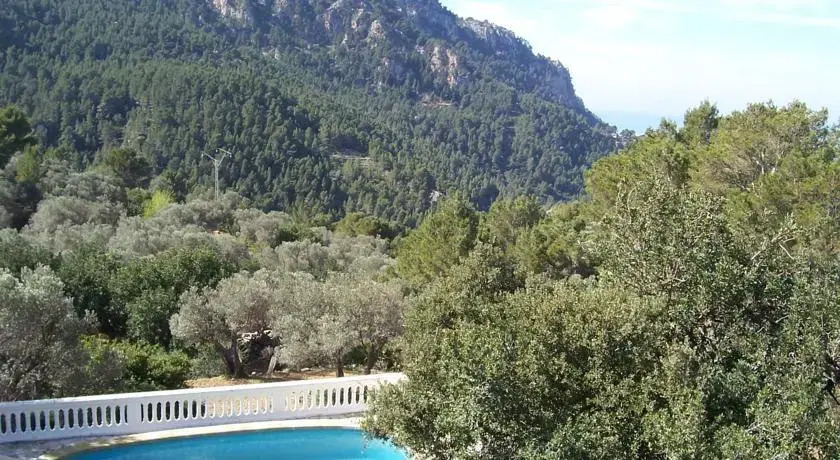 Coll Des Pi