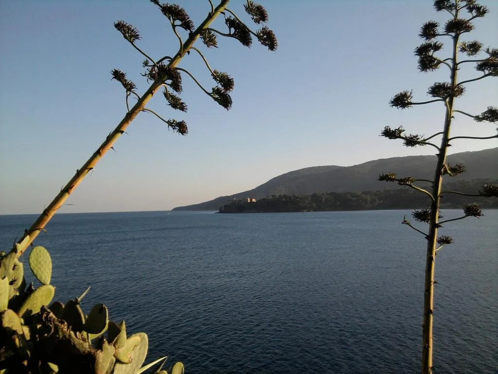 Albergo Romana