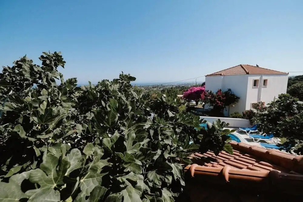 Villa Maia