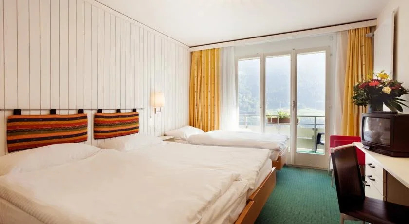 Hotel Alpina