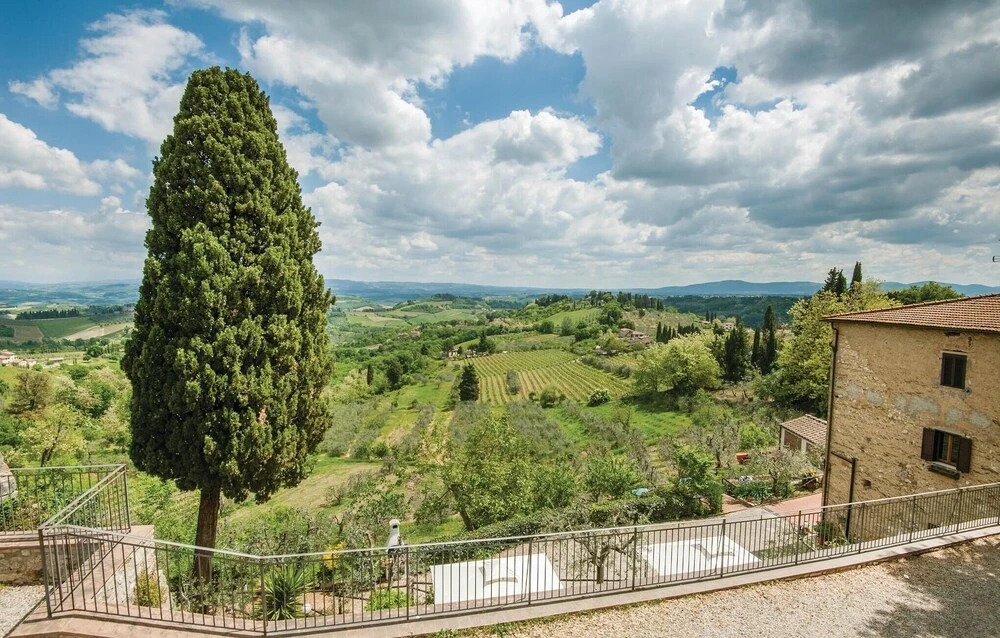 Zafferano 2