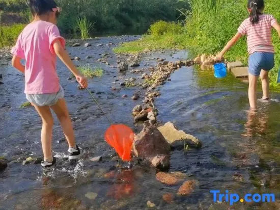 Lanting Creek bank · River · Fishing · Family Homestay
