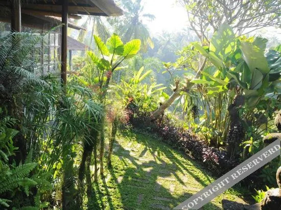Villa Constance