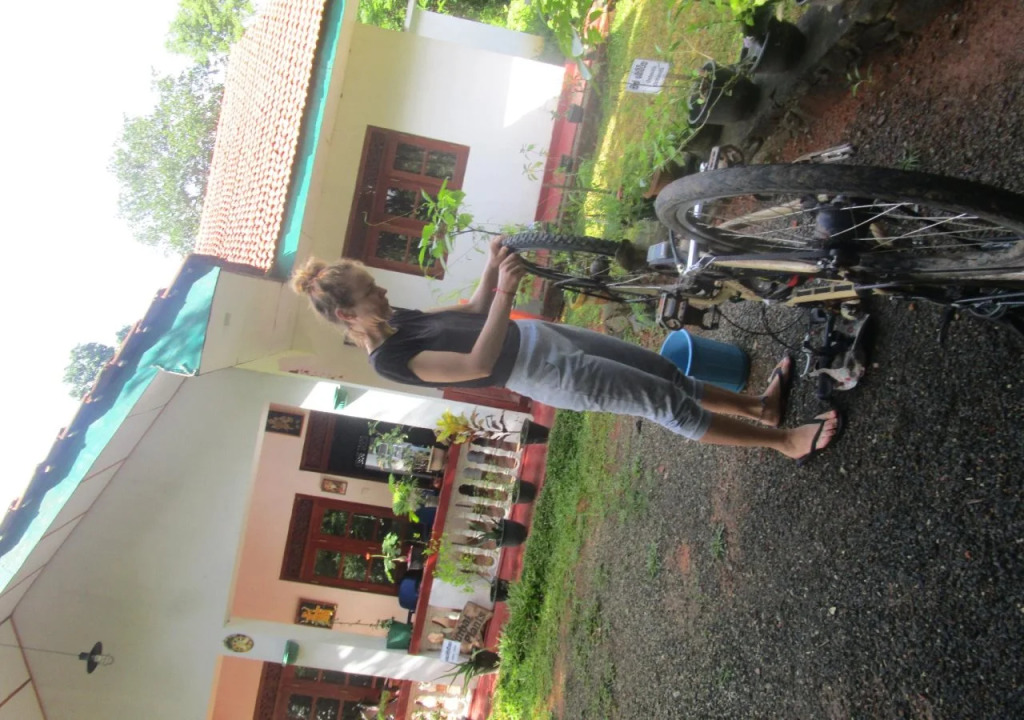 Green Herbal Ayurvedic Eco-Lodge