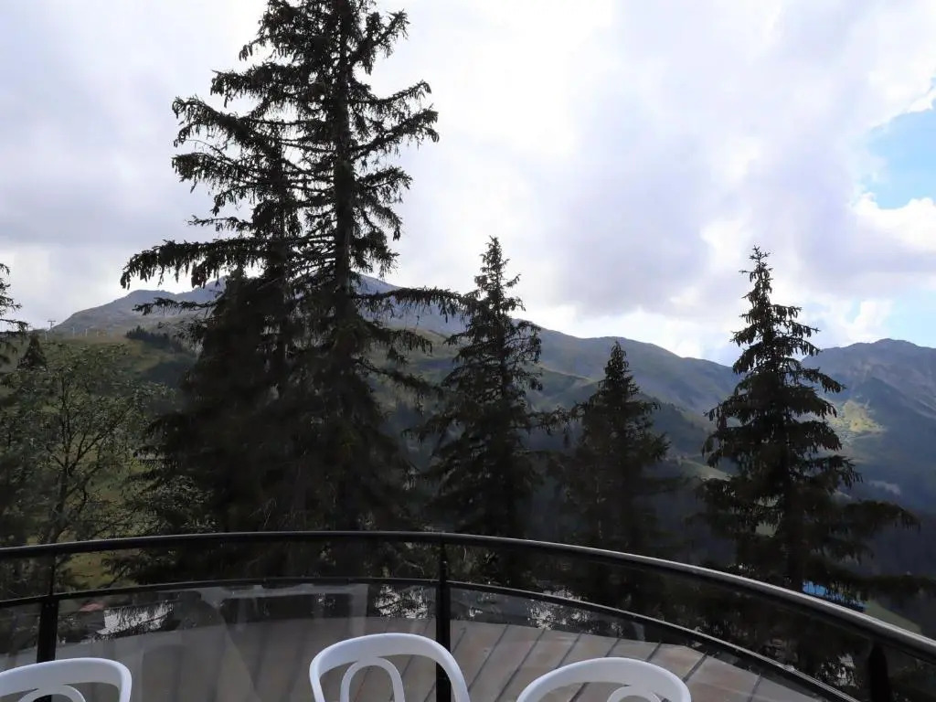 Magnifique chalet à Avoriaz pour 12 pers, confort moderne - FR-1-633-50