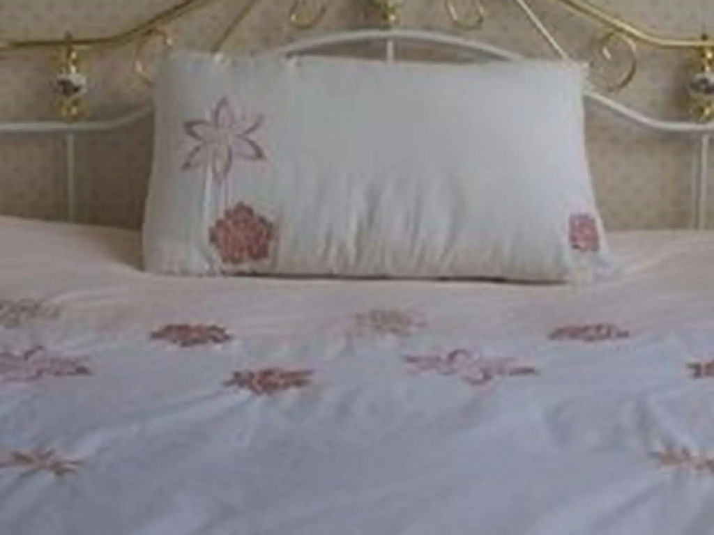 Sussex Lodge Guest House