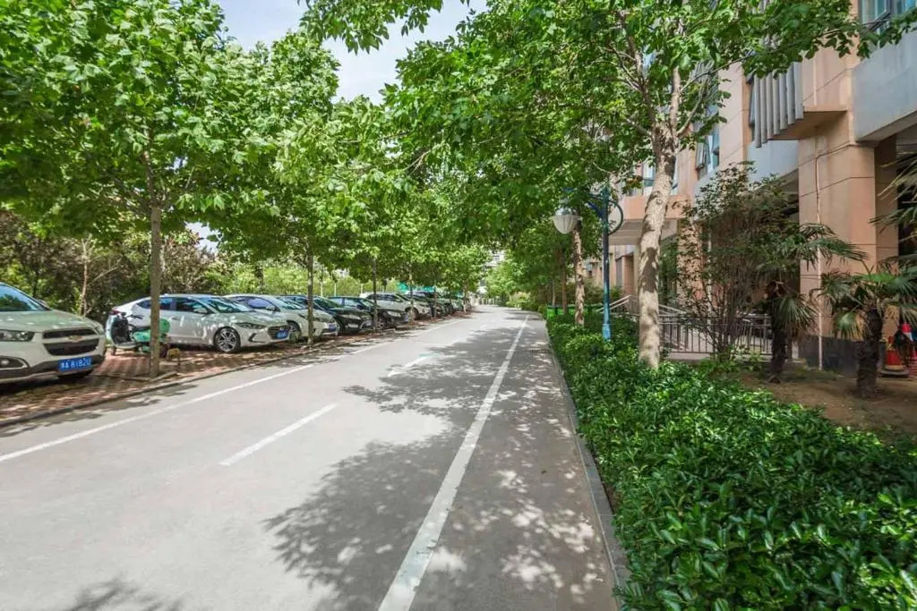 Zhengzhou Jinshui·Provincial Government· Locals Apartment 00161830