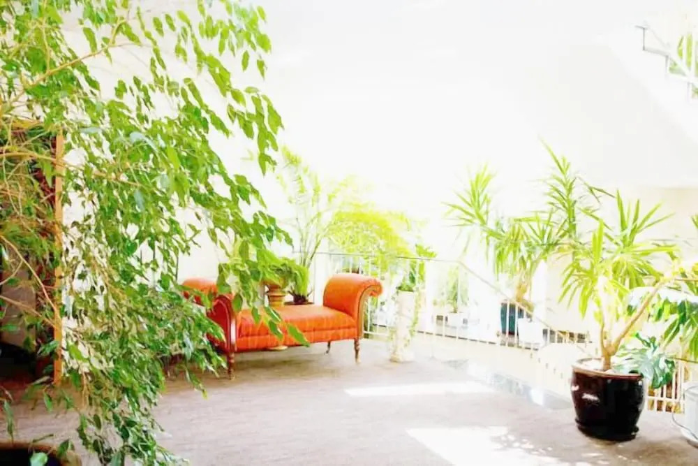 DM Hotels & Apartments - Hotel Deutsches Haus