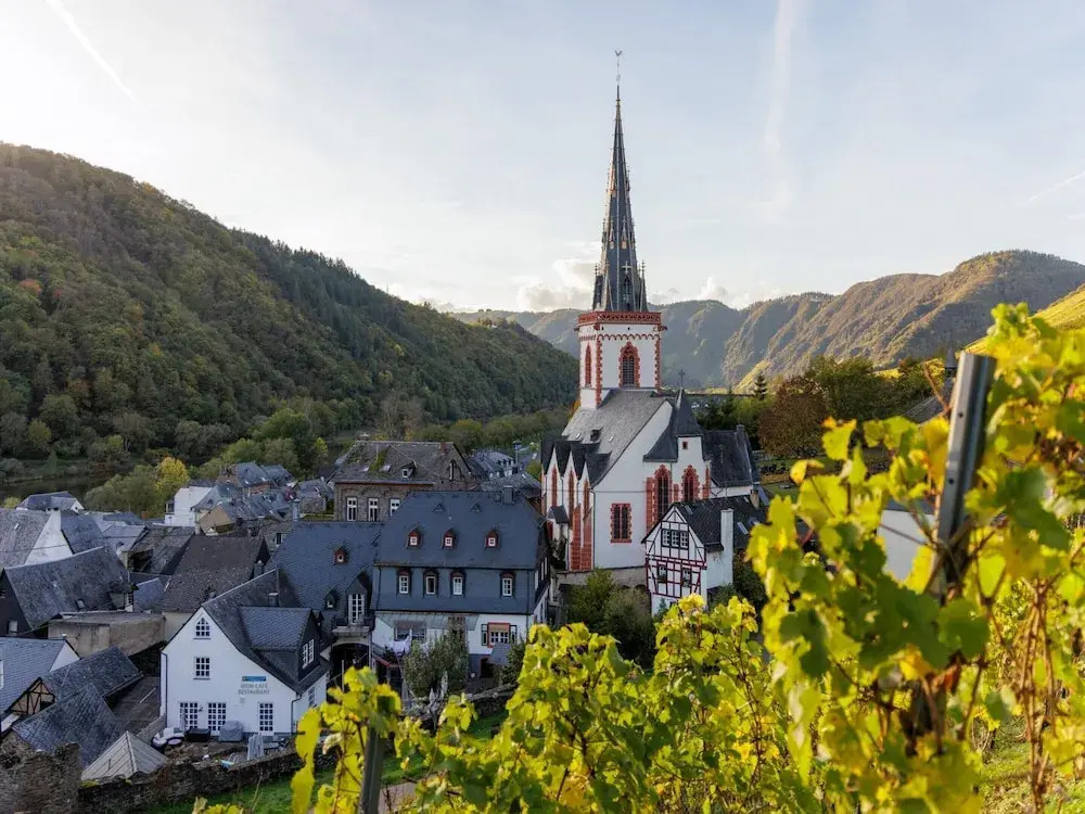 Restyled Villa near River Moselle