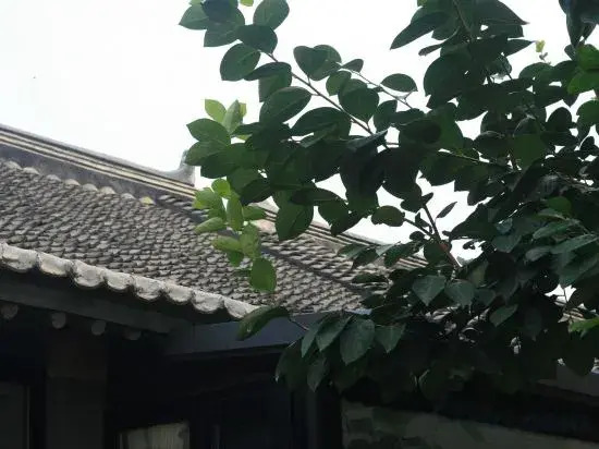 Guitianxuan Homestay