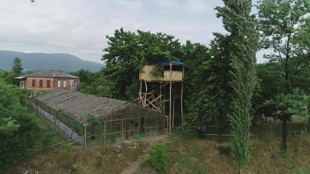 Eagle Nest