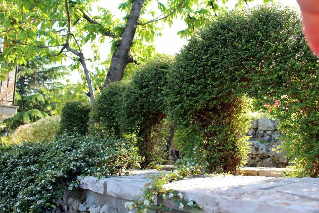 Apartments Dalia