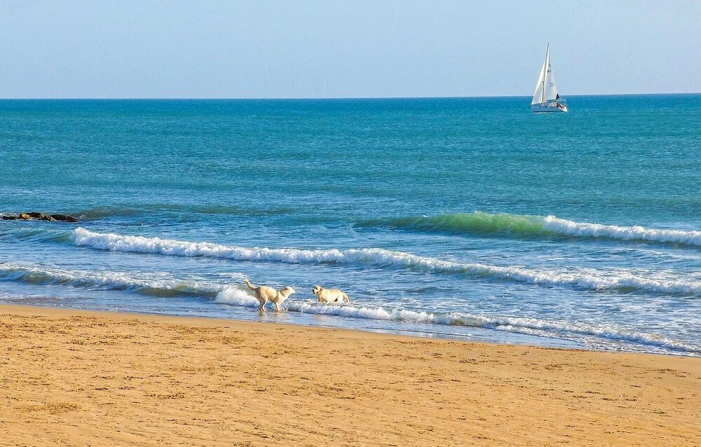 Stunning Home in S.maria del Focallo With 2 Bedrooms and Wifi