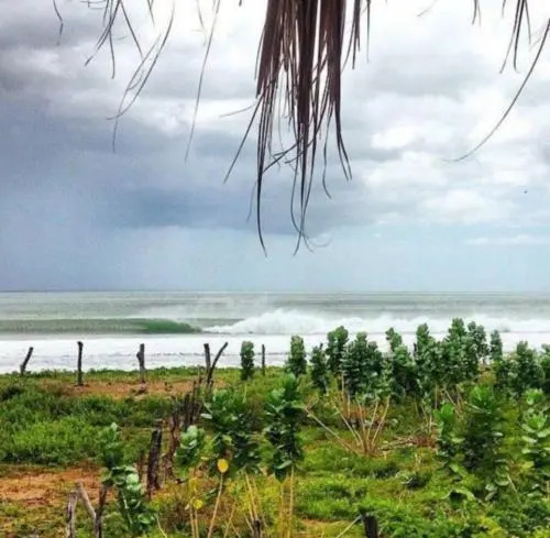 Wild Waves Surf-House
