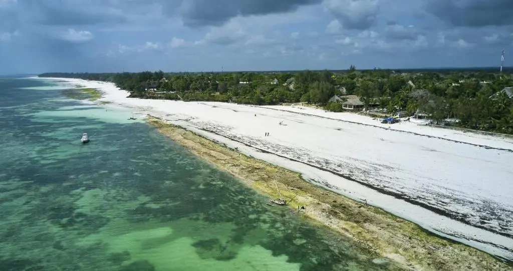 Papillon Lagoon Reef