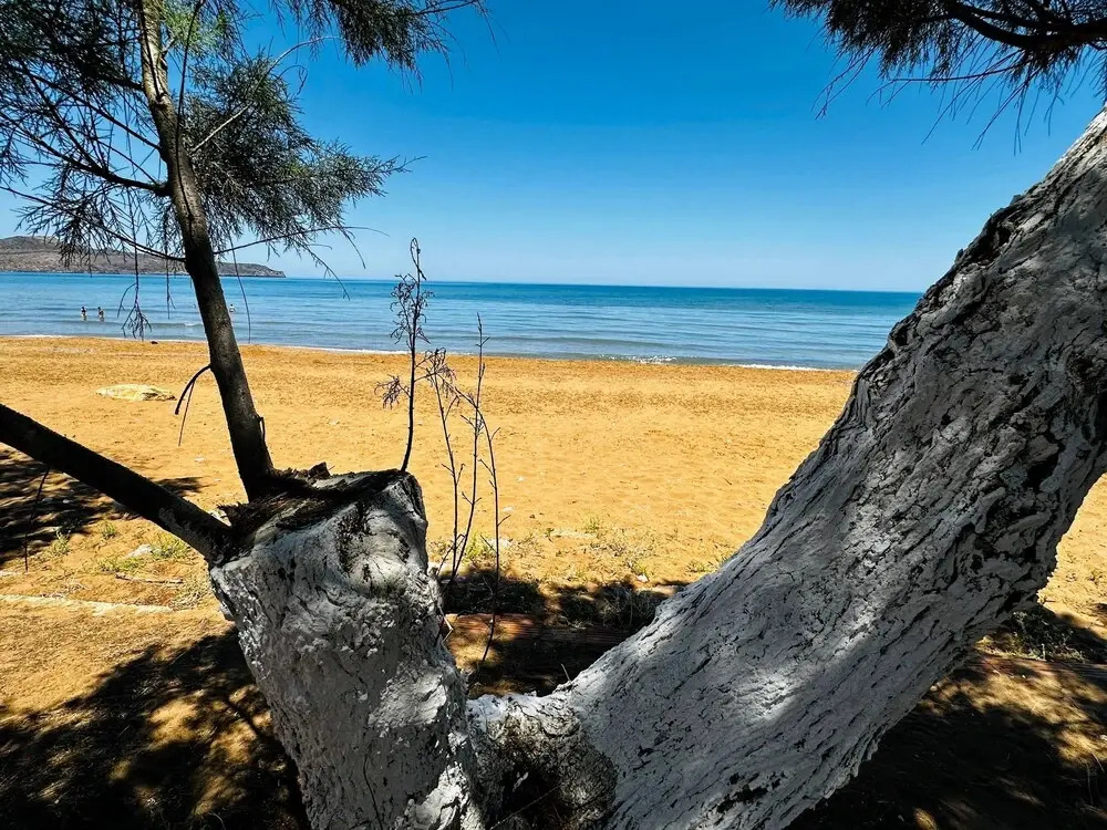 Lifeguard Beachfront - Luxury Flat, 30meters From Sea