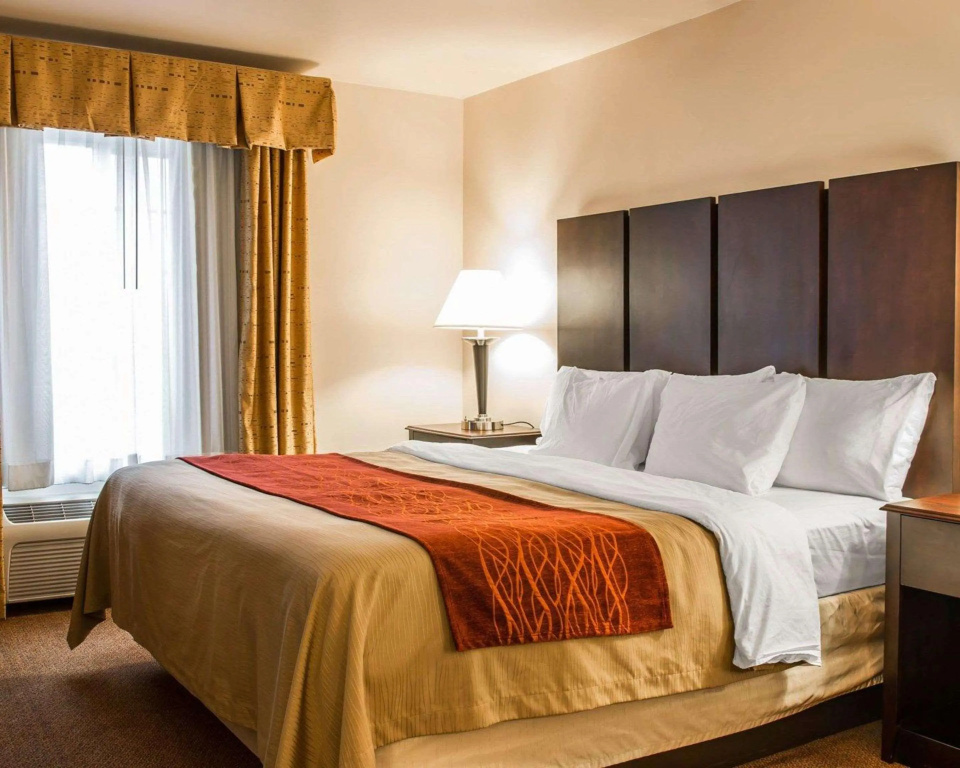 Comfort Inn & Suites Fenton