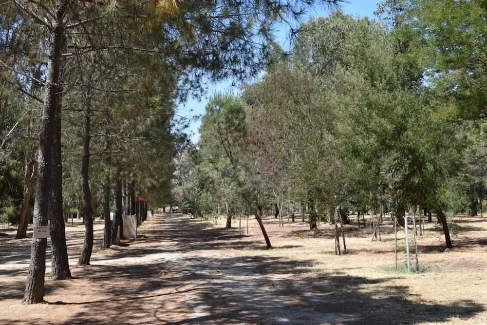 Camping Paradella