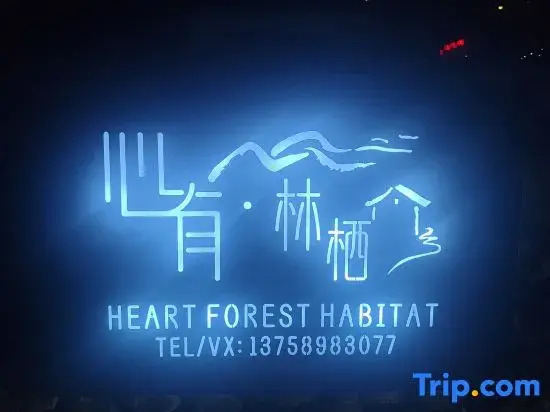 Heart of Forest Homestay