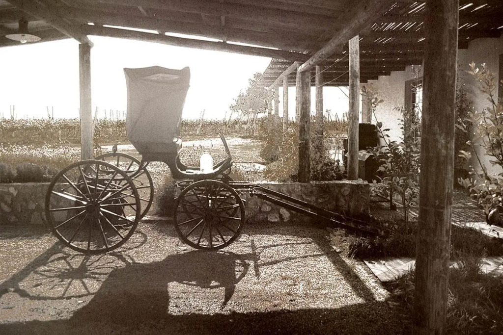 Narbona Wine Lodge