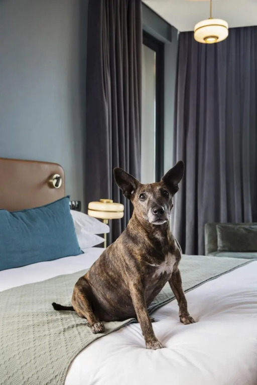Home Suite Hotels Rosebank