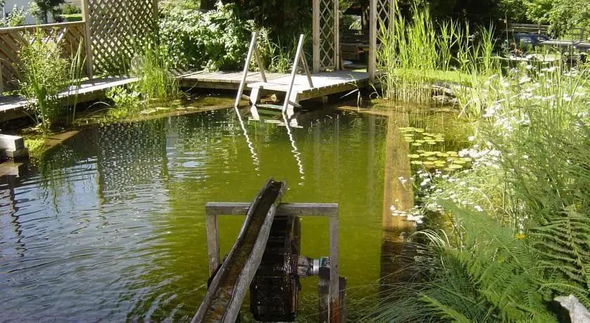 Pension & Appartement Steinwender