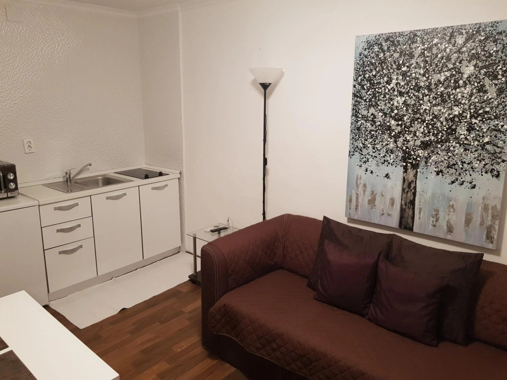 Apartments Minerva