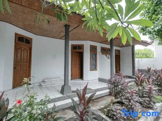 Rommeo Inn Lovina Mitra RedDoorz
