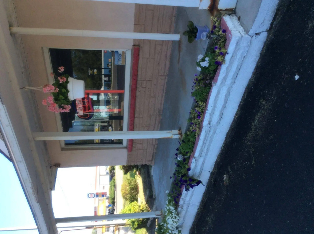Palace Inn Motel