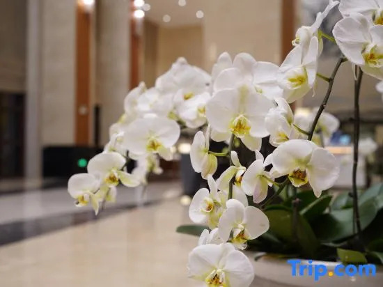 Qing Hua Hai Guan Fang Garden Hotel