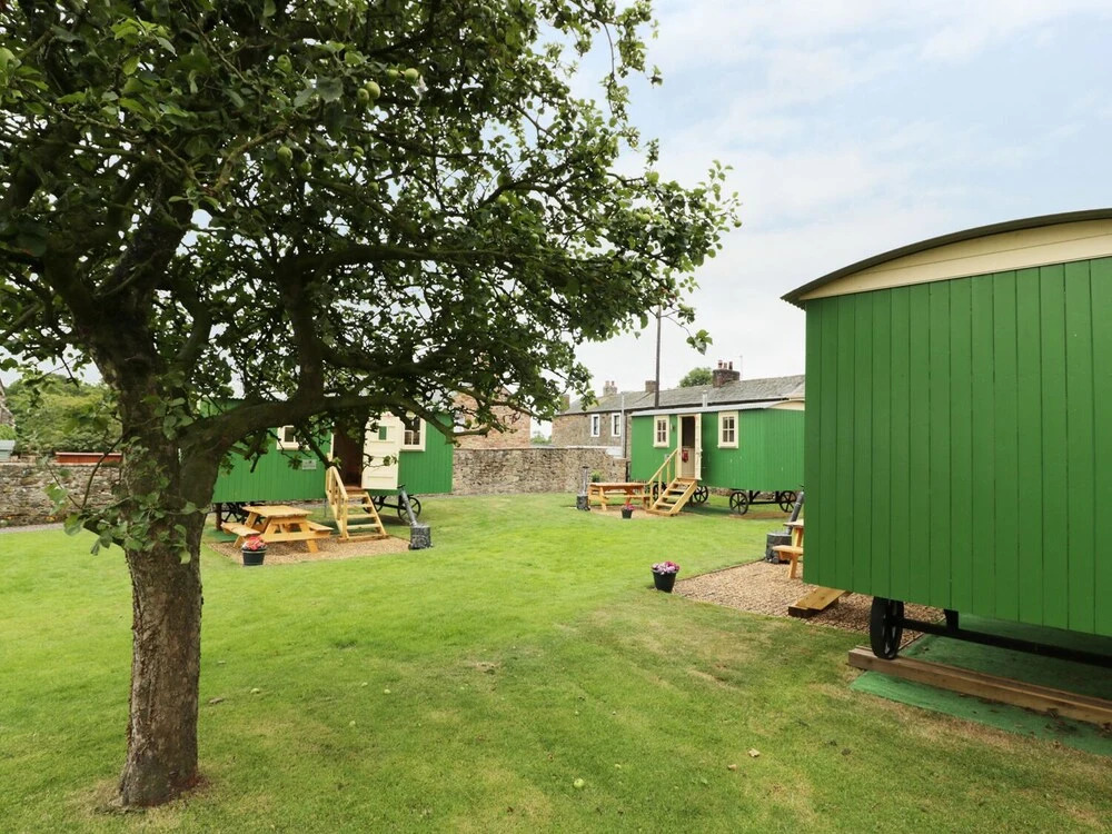 Hannah's Hide