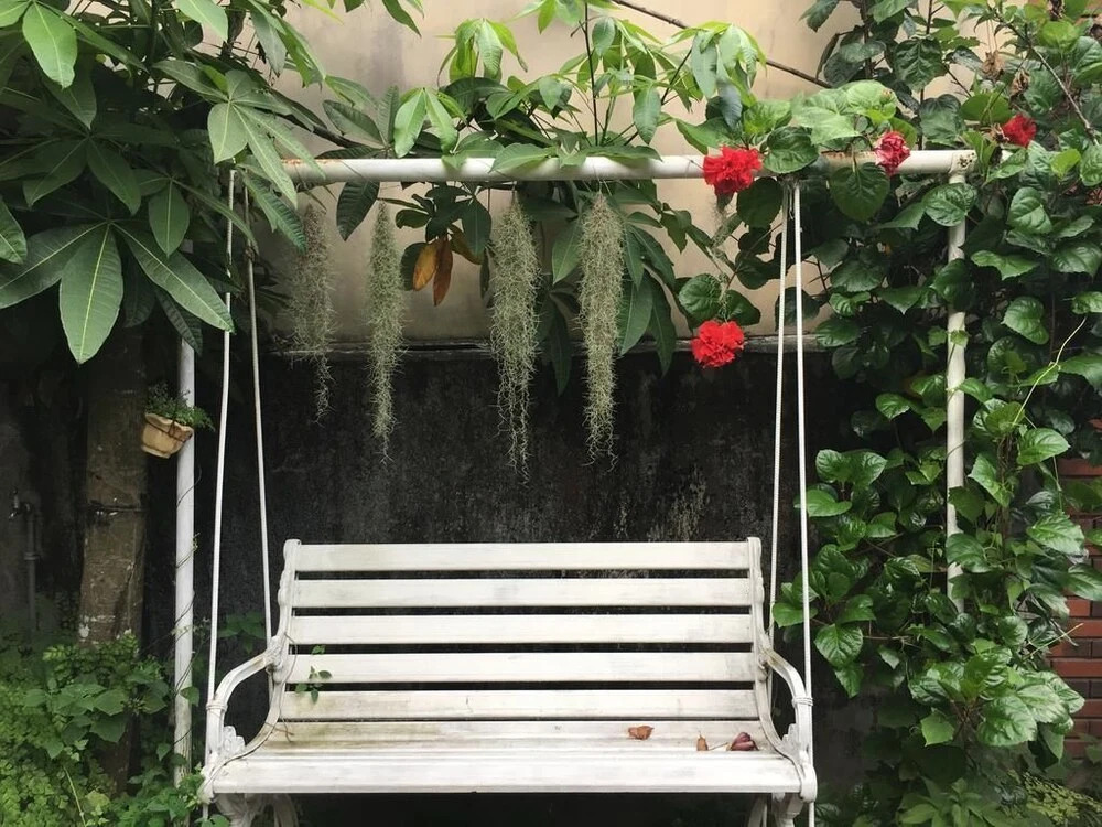 Daydream Hostel