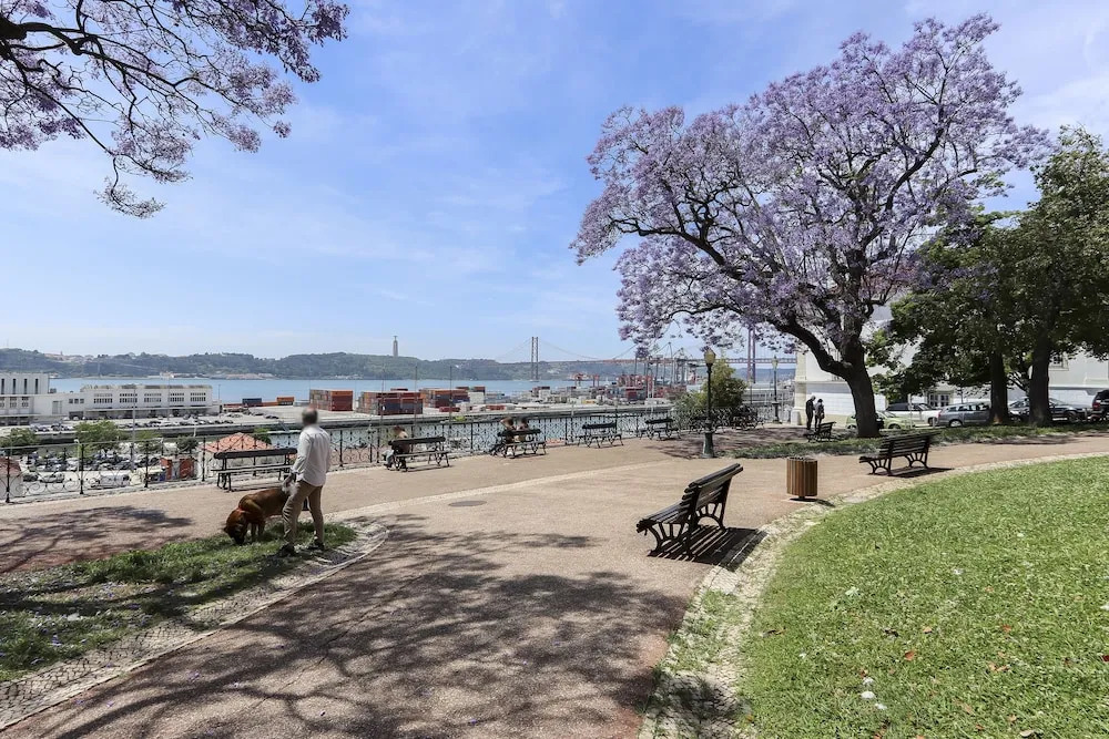 Santos River View by Homing