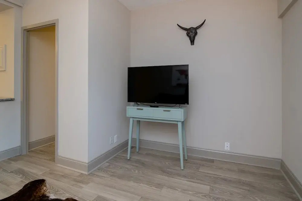 1 Bedroom Downtown Condo