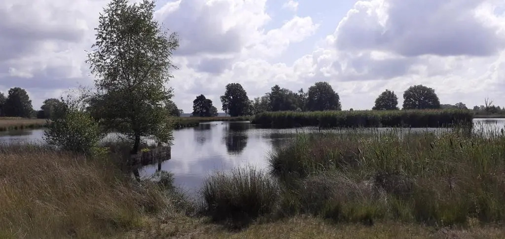 Drentse bungalow in natuur en rust