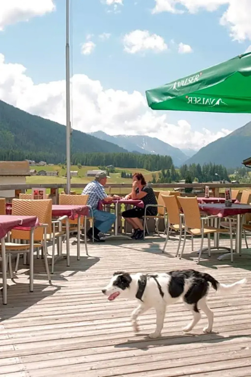Alpenhof