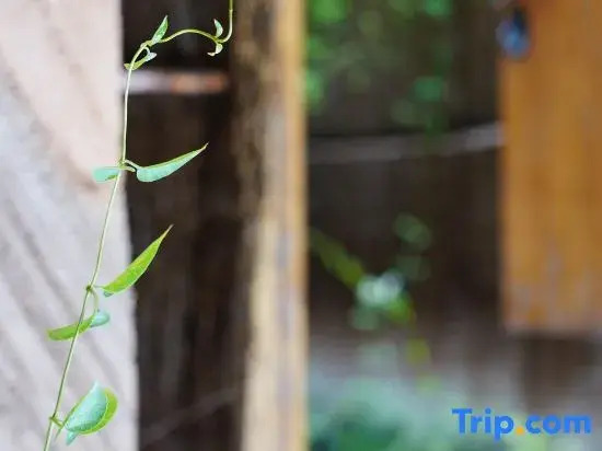 Buzhi Henian Hot Spring Homestay