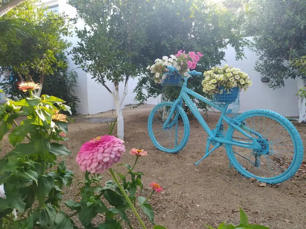 Perivoli 3-Chora(5min away from the center by car)