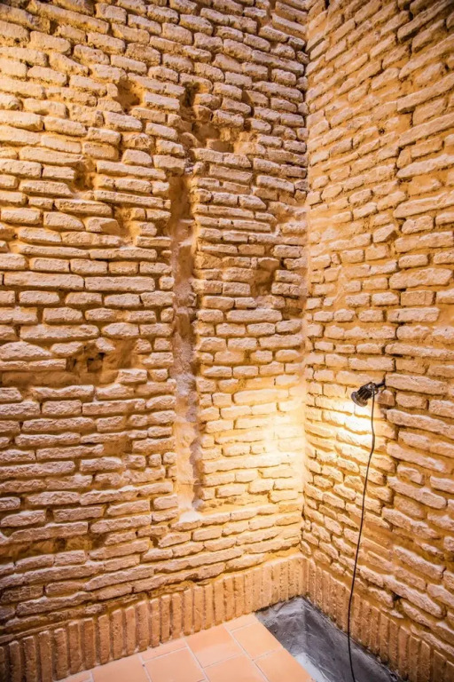 Loft Alfalfa Oasis II