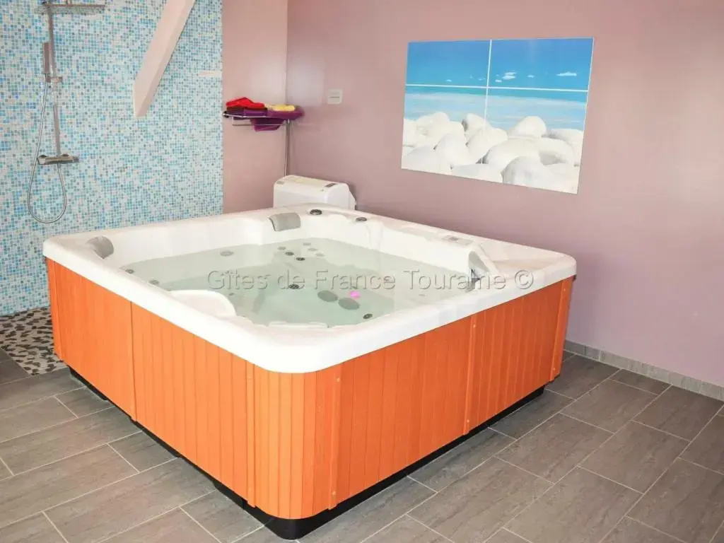Maison en Touraine avec Spa et Sauna, proche Châteaux de la Loire - FR-1-381-473