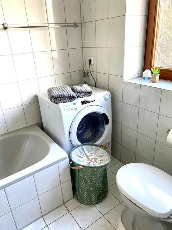 Apartment Bodman in Friedrichshafen