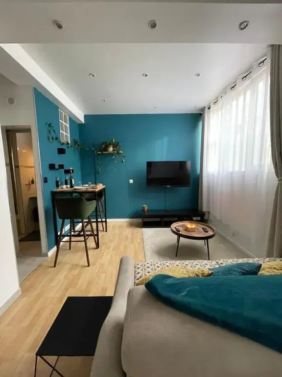 Très beau Studio Lumineux refait a Neuf !