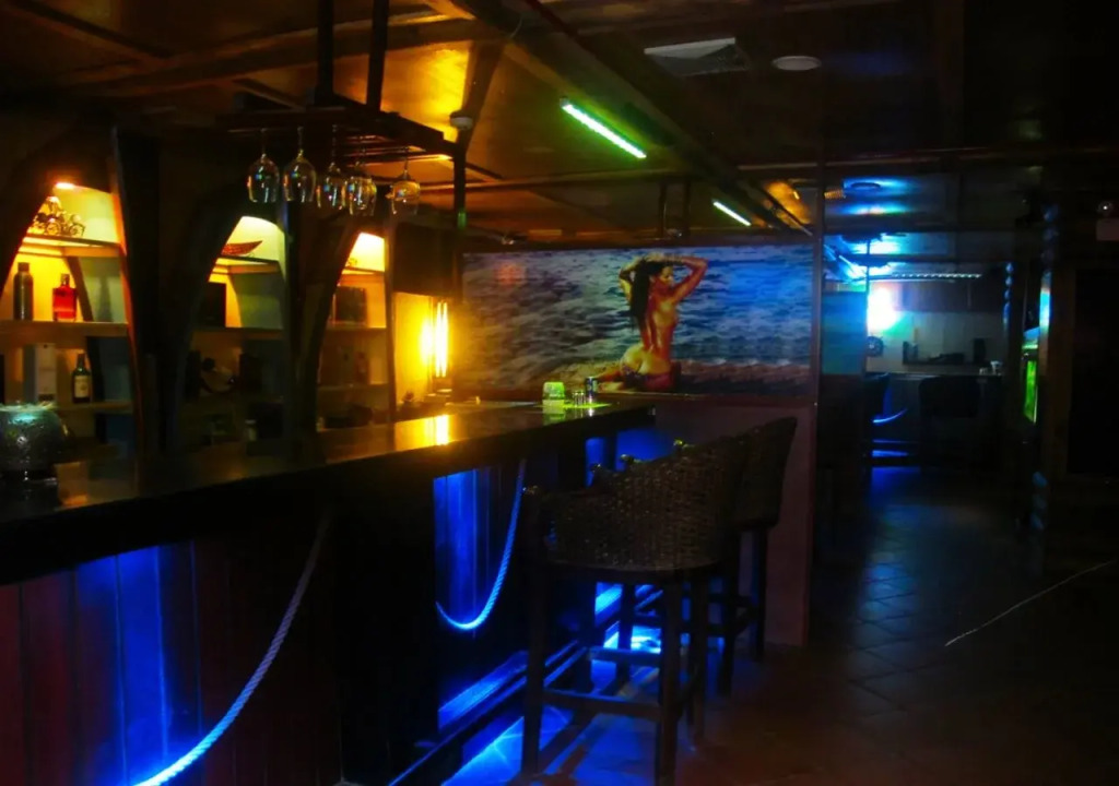 The Blue Hotel