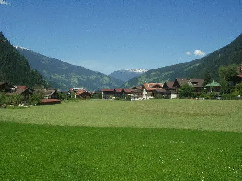 Pension Steiner