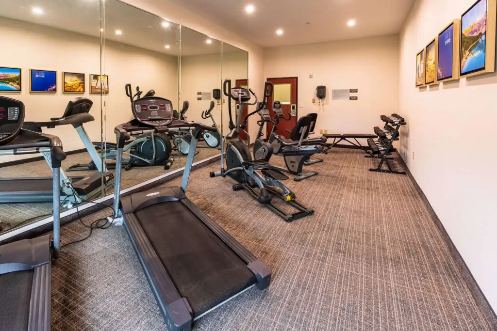 Comfort Inn & Suites New Iberia - Avery Island