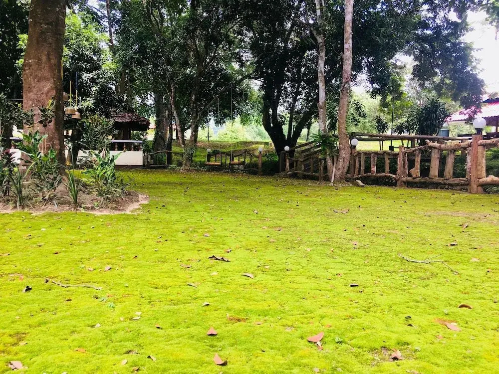 ห้วยน้ำรินรีสอร์ท The Creek Garden Resort