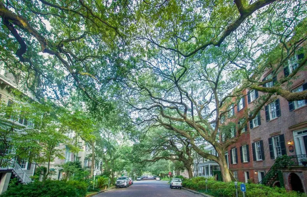 Hilton Garden Inn Savannah Historic District