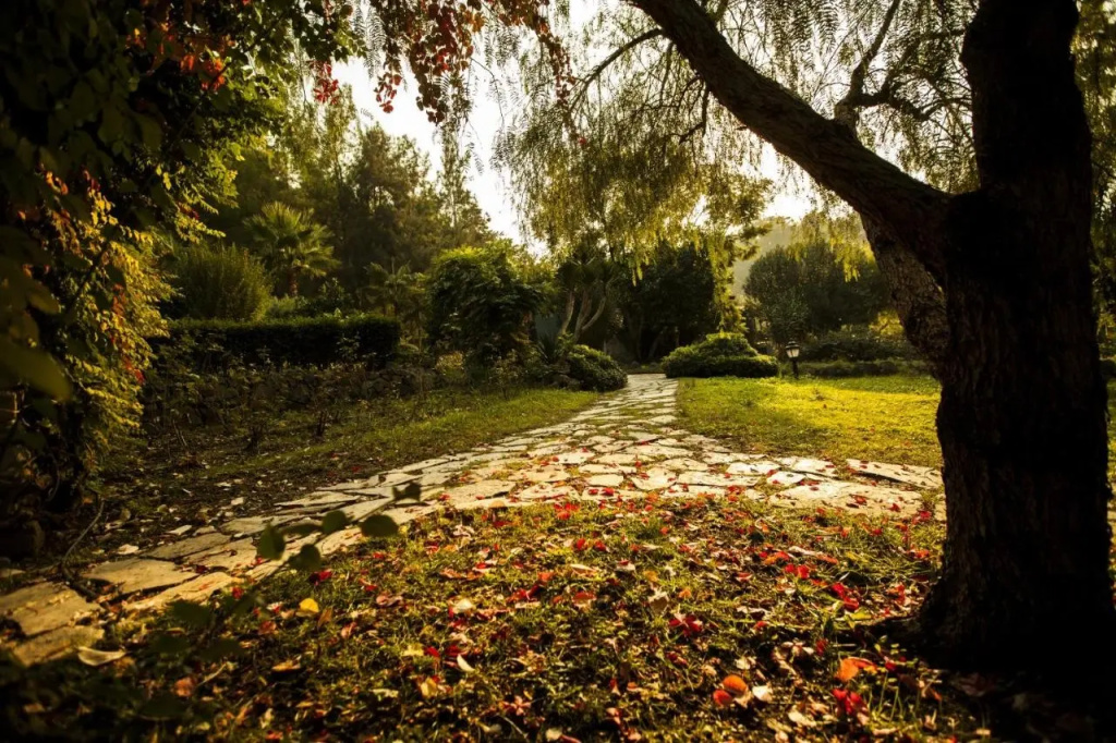 Beso Hotel Berke Ranch&Nature
