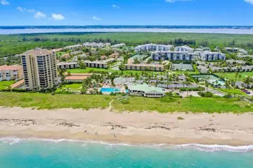 Ocean Village Coral Cluster 1023